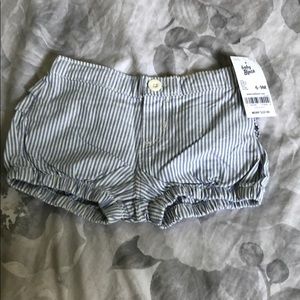 Baby Bgosh ruffle butt shorts